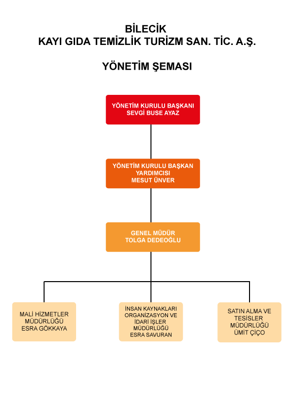 Yönetim Şeması